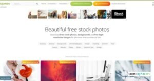 PressVibePulse Com Ownership, Authors and Publishing Activity