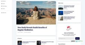 What Is PressVibePulse Com and How Does It Work?